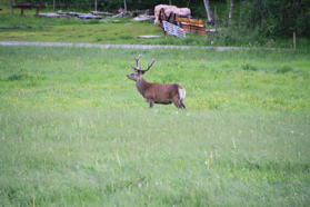 Foto: Lars Erik Hubred